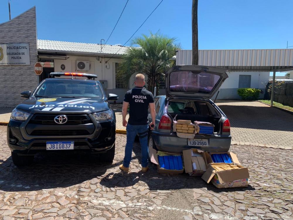Droga foi apreendida em operação da Polícia Civil (Foto: Polícia Civil)