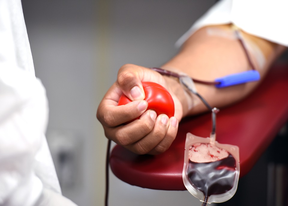 Apenas 1,6% da população brasileira é doadora de sangue (Foto: Pixabay)