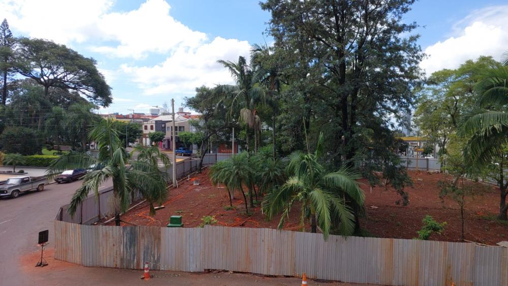Primeiro dia de outono está sendo de sol e calor (Foto: Jonas Martins)