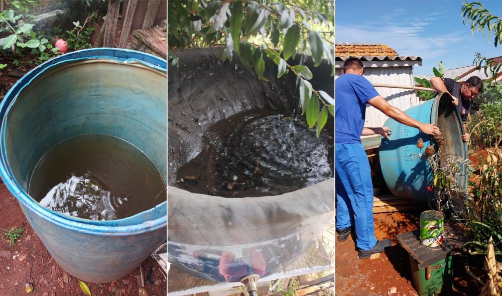 Combate a dengue segue no município (Foto: Prefeitura de Tenente Portela)