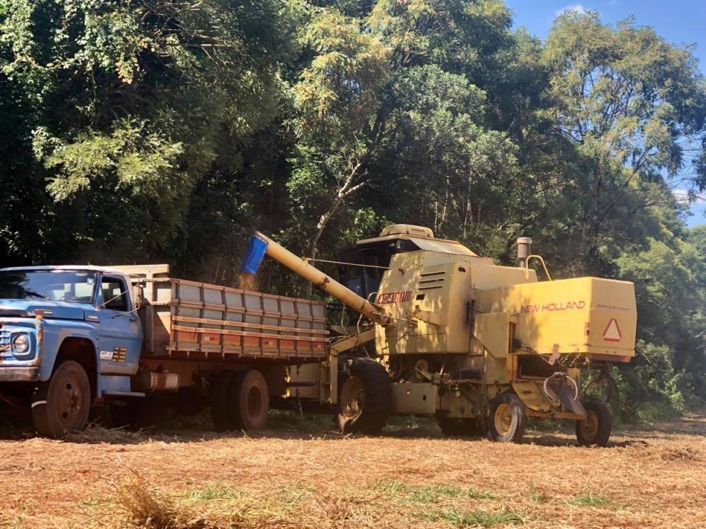 Soja deverá ter um incremento de 80,02%, passando de 11,2 milhões de toneladas para 20,2 milhões de toneladas (Foto: Diones Roberto Becker)