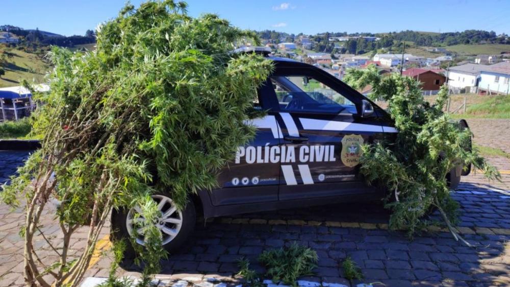 (Foto: Divulgação: Policia Civil)