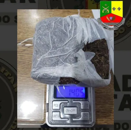 Droga apreendida pela Brigada Militar (Foto: Brigada Militar)