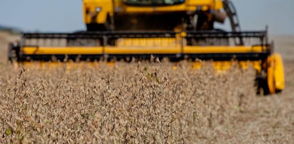 Previsão é de que área produtiva fique entre 61,9 milhões de hectares e 63,1 milhões de hectares. (Foto: Divulgação/Palácio Piratini)