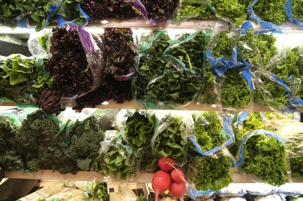 Hortifrútis sofreram grande impacto com as chuvas (Foto Valter Campanato - Agência Brasil)