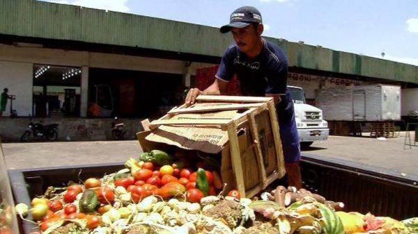 Segundo a ONU, 1,3 bilhão de toneladas de alimentos são desperdiçadas por ano (Foto: Divulgação/TV Brasil)