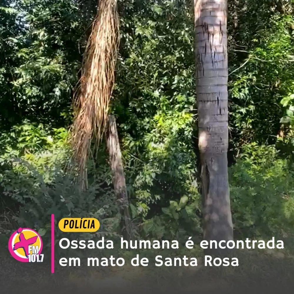 (Foto:Rádio Mais FM)