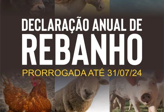 Foto: Prefeitura Tenente Portela