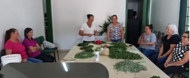 Ação foi realizada por mulheres em Vista Gaúcha (Foto: Prefeitura de Vista Gaúcha)