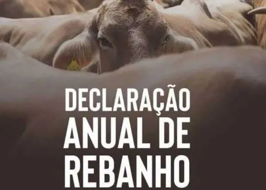 Foto: Divulgação (Seapi)
