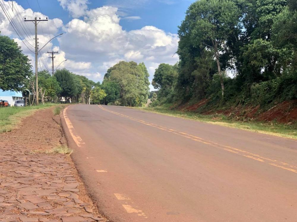 Trecho da ERS 317 que passa em frente ao bairro Faxinal (Foto: Diones Roberto Becker)