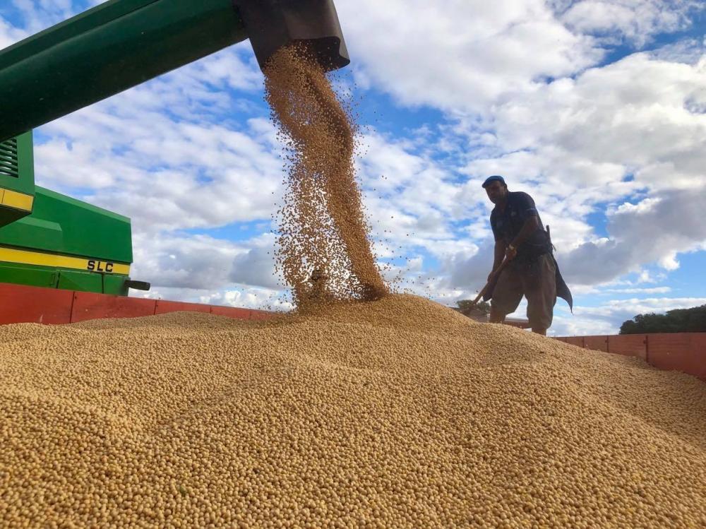 No caso da soja, o volume deve alcançar novo recorde, estimado em 135,5 milhões de toneladas (Foto: Diones Roberto Becker)