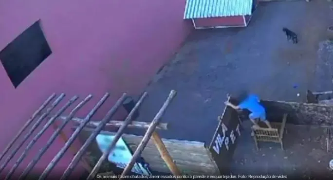 Foto: Reprodução Vídeo