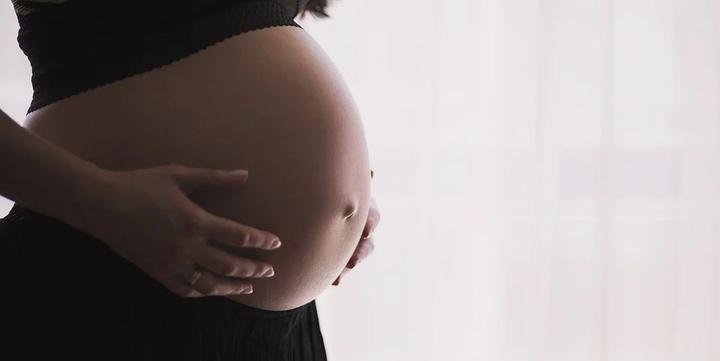 Foto: (Divulgação)