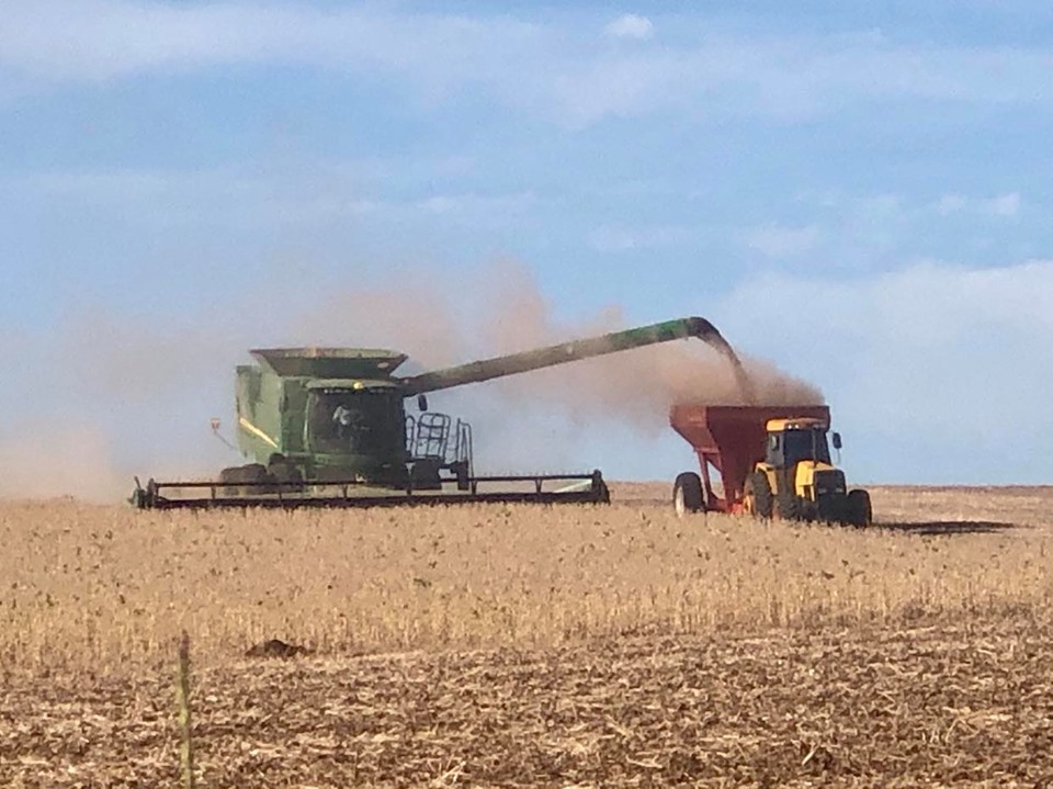 Soja foi o produto que teve o melhor desempenho nas vendas em março, com arrecadação superior a US$ 1,6 bilhão (Foto: Diones Roberto Becker)