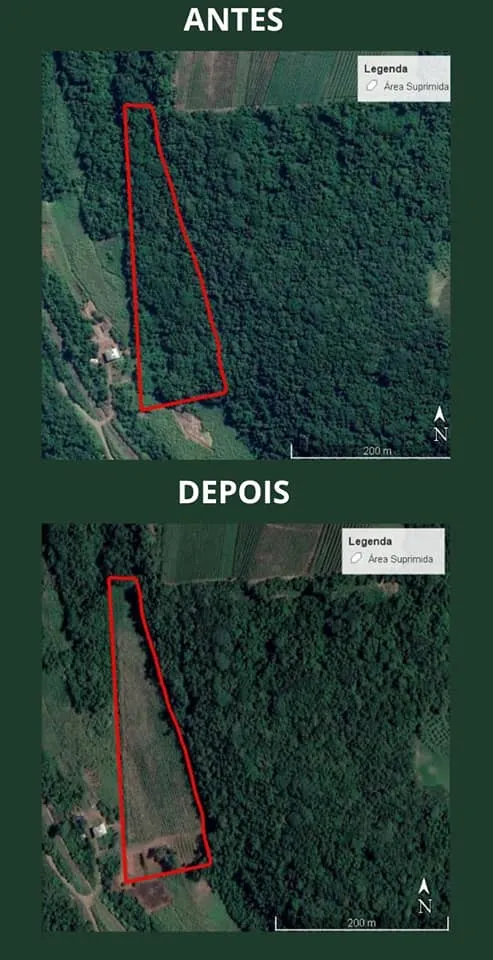 Montagem mostra uma das inúmeras áreas desmatas (Foto: Brigada Militar)