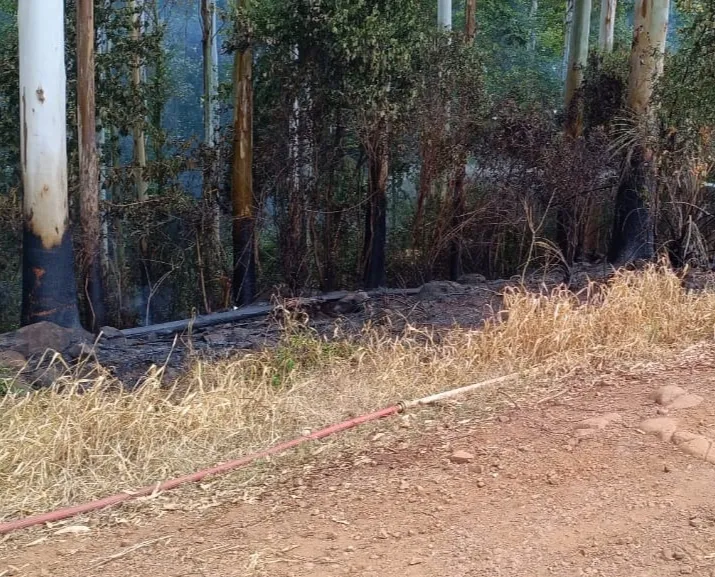 Foto: Bombeiros Voluntários 
