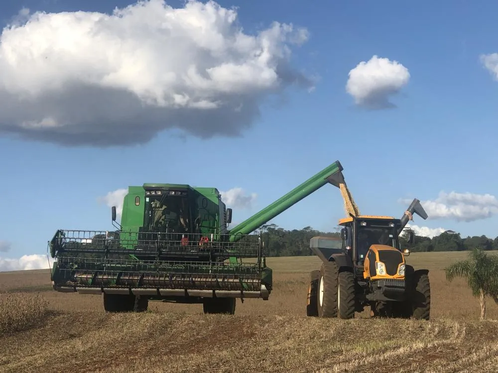 Expectativa é que a produção de soja chegue a 166 milhões de toneladas no país (Foto: Diones Roberto Becker)