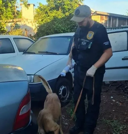 Foto: Polícia Civil RS/14DPR