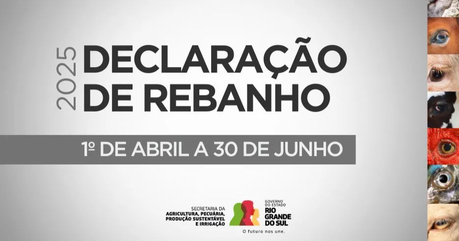 Foto: Divulgação Arte SEAPI