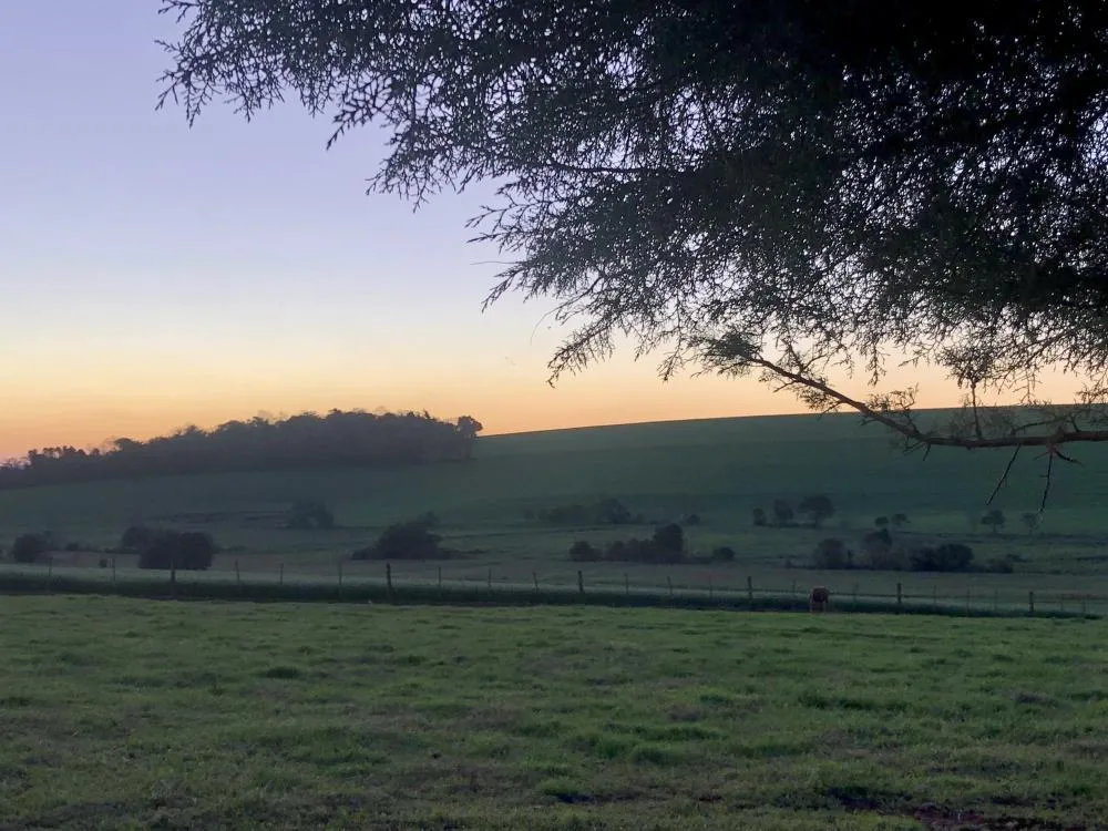 Com grau de severidade amarelo, o comunicado entra em vigor às 3 horas desta sexta-feira (Foto: Diones Roberto Becker)