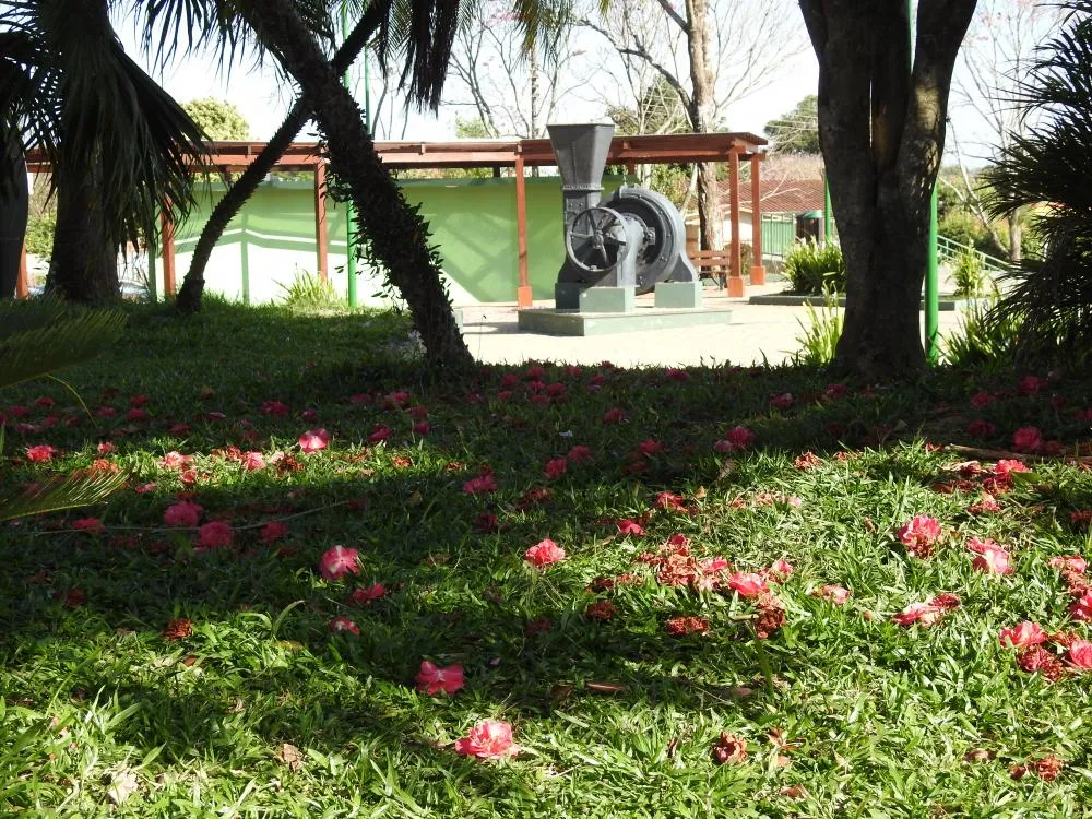 Massa de ar frio começará a perder força no próximo domingo, mas temperaturas seguem amenas no RS (Foto: Diones Roberto Becker)