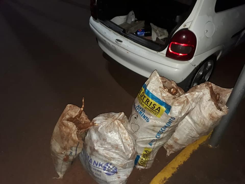 Foto: (Divulgação) BM