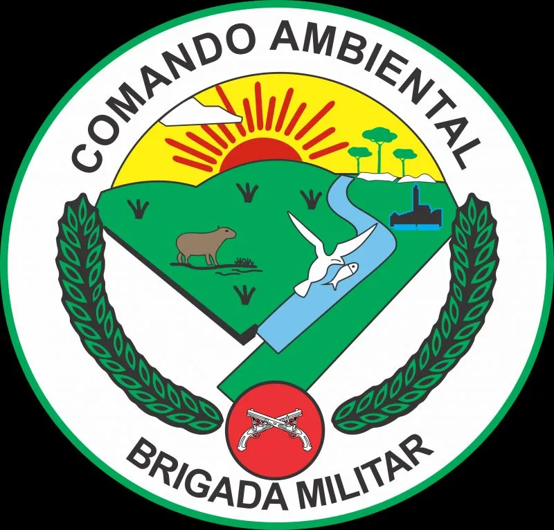 (Foto: Reprodução)