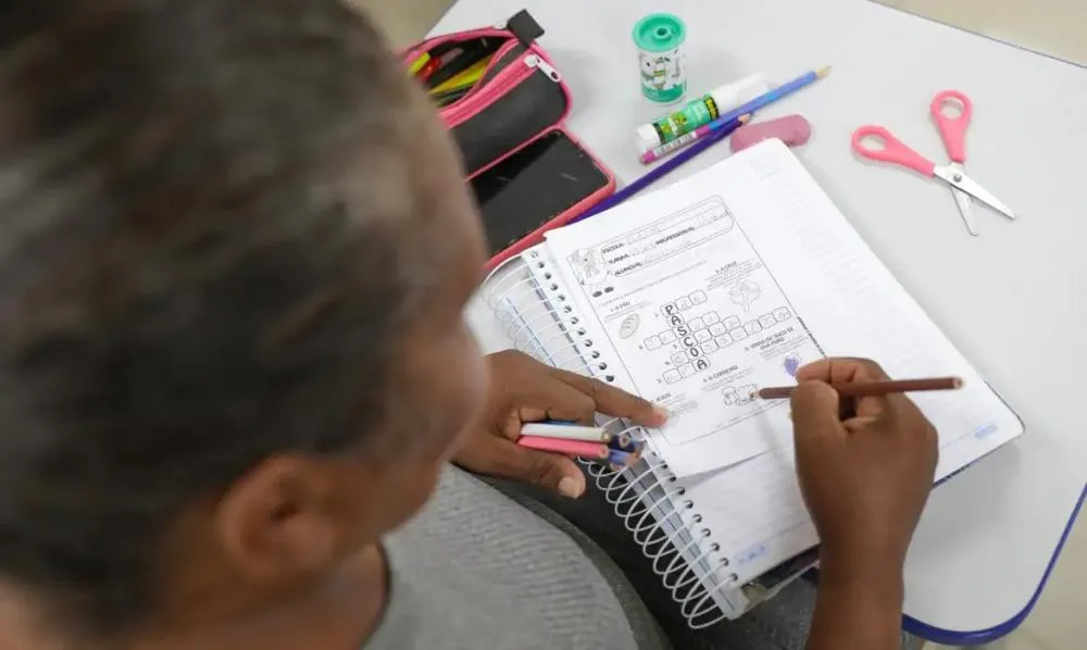 Grupo de analfabetos funcionais corresponde a 29% da população brasileira (Foto: Geovana Albuquerque | Agência Brasília)