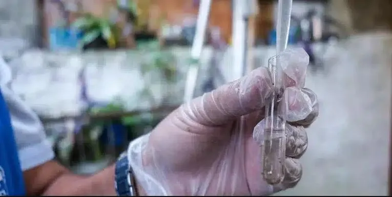 (Foto: Pedro Piegas)