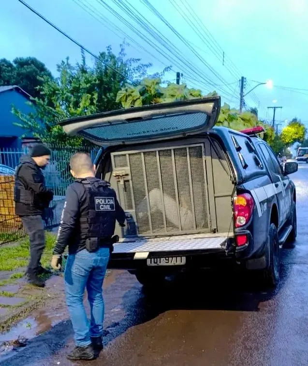 (Foto: Reprodução)