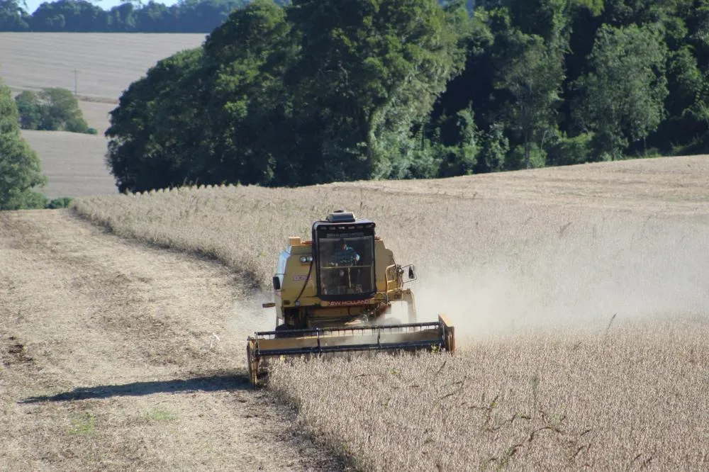 Agronegócio do Rio Grande do Sul movimentou US$ 3,3 bilhões em exportações no primeiro trimestre de 2025 (Foto: Diones Roberto Becker)