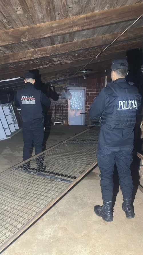 (Foto: Reprodução)