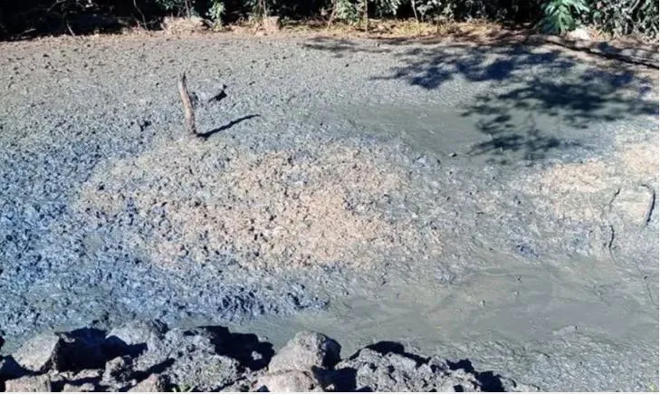 (Foto: Comunicação Social da 1ª Cia Ind Ambiental)