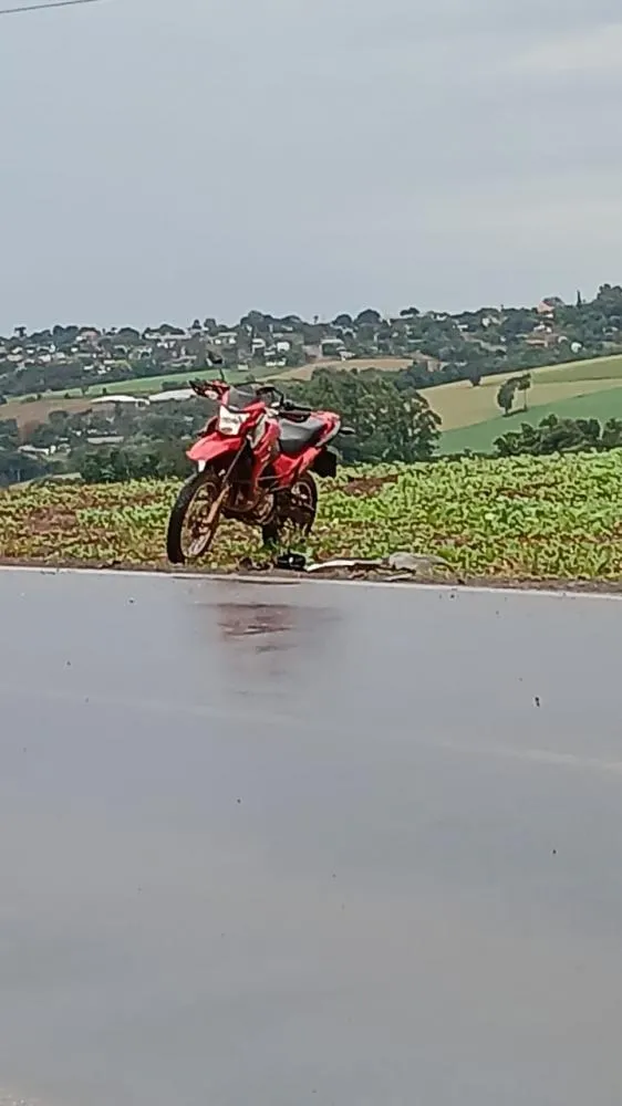 (Foto: Reprodução)