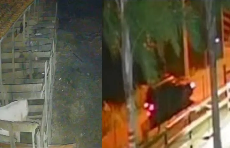 (Foto: Reprodução)