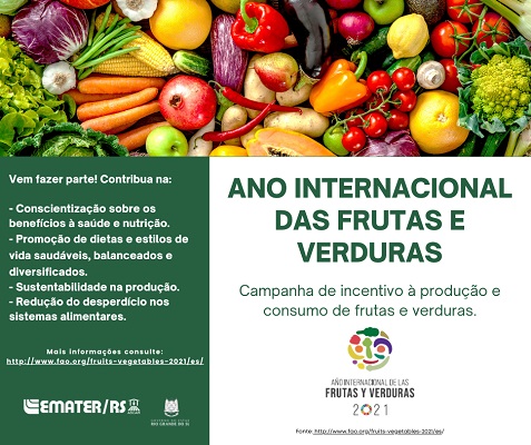 Foto: (Divulgação)