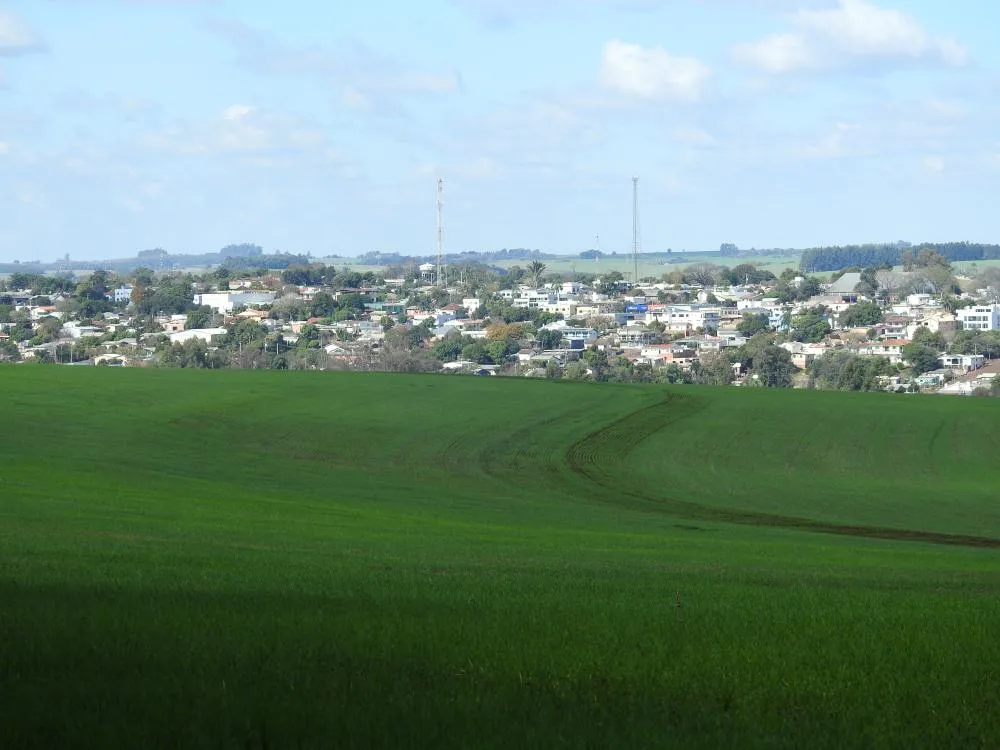 Semeadura do cereal avançou de forma significativa no Rio Grande do Sul desde o início de julho (Foto: Diones Roberto Becker)