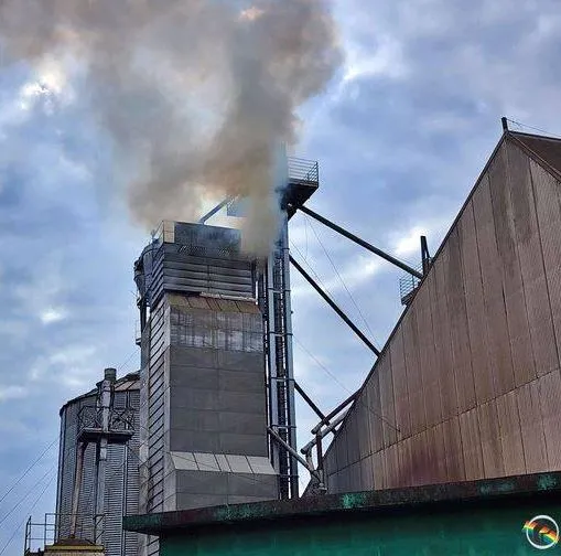Foto: Rede Peperi