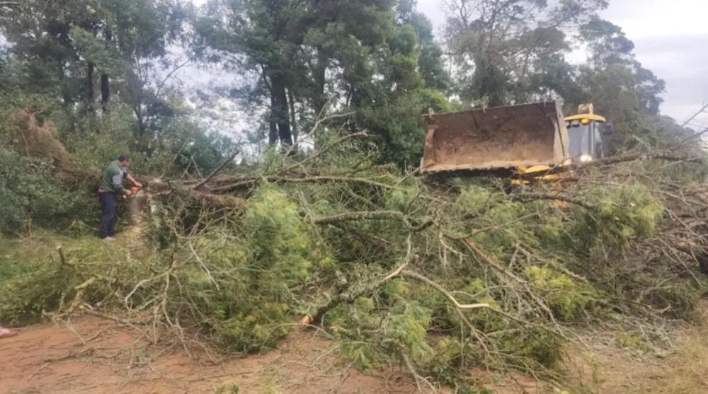 Em Jaguarão, houve danos em telhado de uma casa e queda de árvores (Foto: Divulgação | Prefeitura de Jaguarão) 