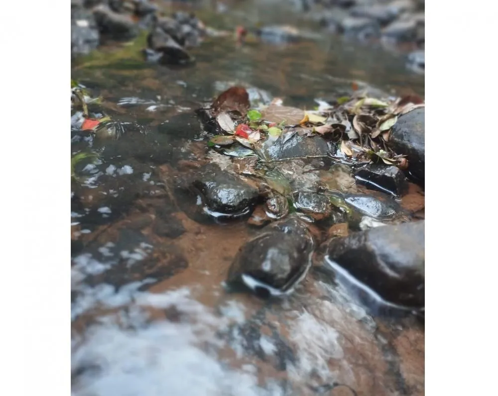 (Foto: Divulgação / Prefeitura de Nova Candelária)