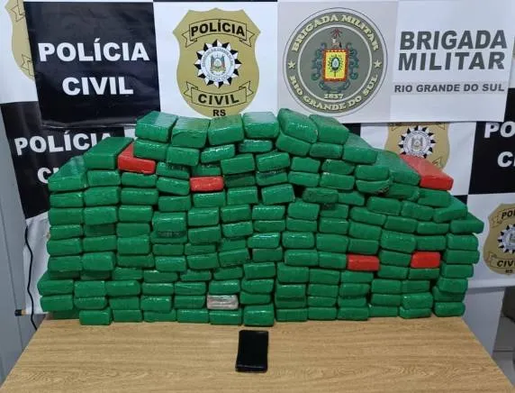 Foram apreendidos 149 tijolos de maconha, que totalizaram 109 quilos (Foto: Divulgação | Polícia Civil)