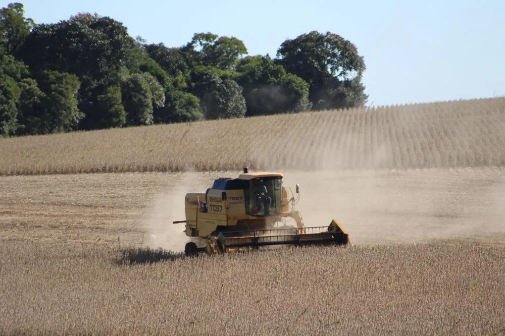 Com produtividades recordes, milho e soja contribuem para o bom resultado esperado, que juntos representam 43,4 milhões de toneladas (Foto: Diones Roberto Becker)