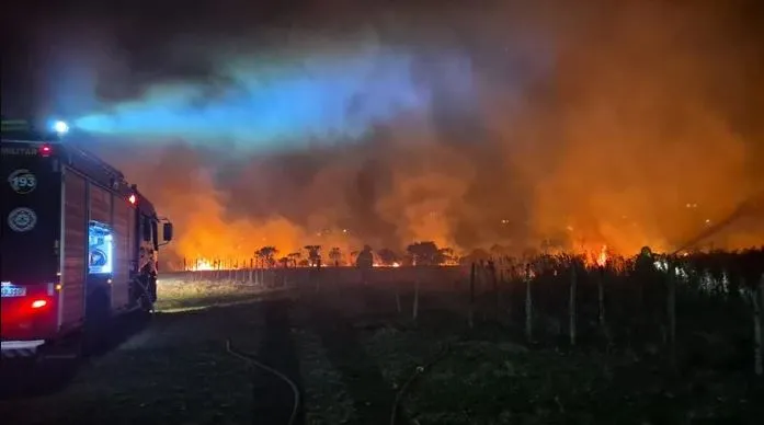 (Foto: Divulgação / Corpo de Bombeiros de Palmeira das Missões)