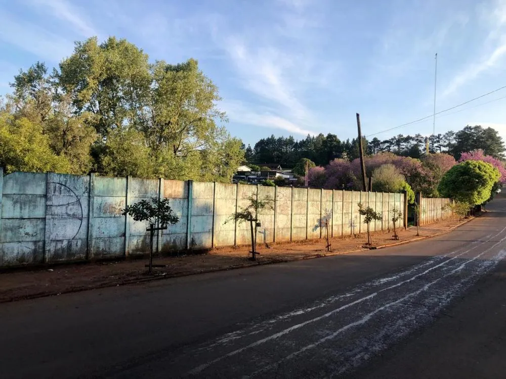Empresas habilitadas poderão estampar suas propagandas ou publicidades nos lados interno e externo do muro do estádio municipal (Foto: Diones Roberto Becker)