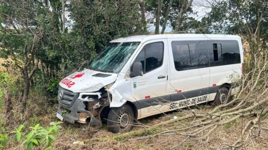 (Foto: Reprodução / Jornal O Celeiro)