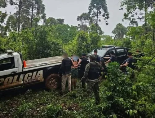 (Foto: Reprodução)