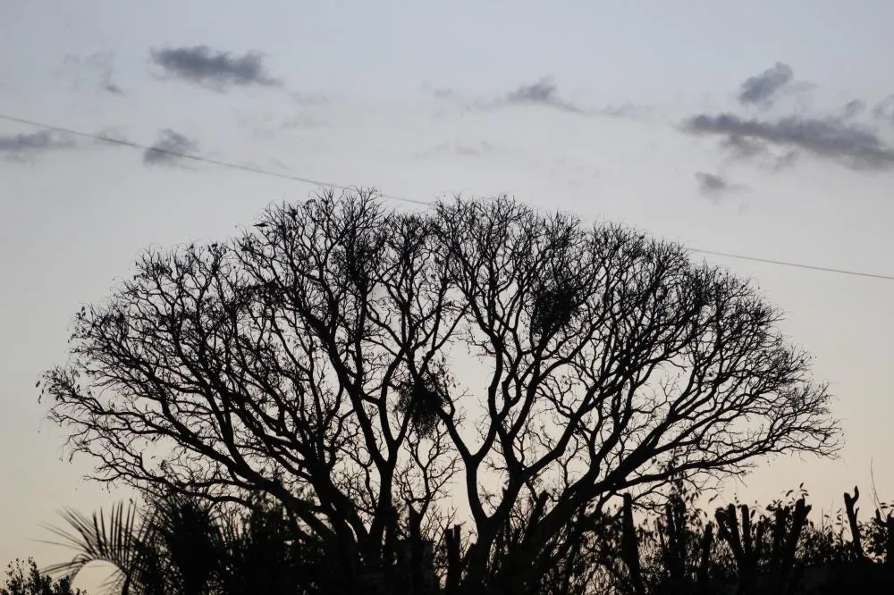 Na terça-feira (18/11), a alta pressão deve manter o tempo firme com predomínio de sol e condições estáveis em todo o Estado (Foto: Diones Roberto Becker)