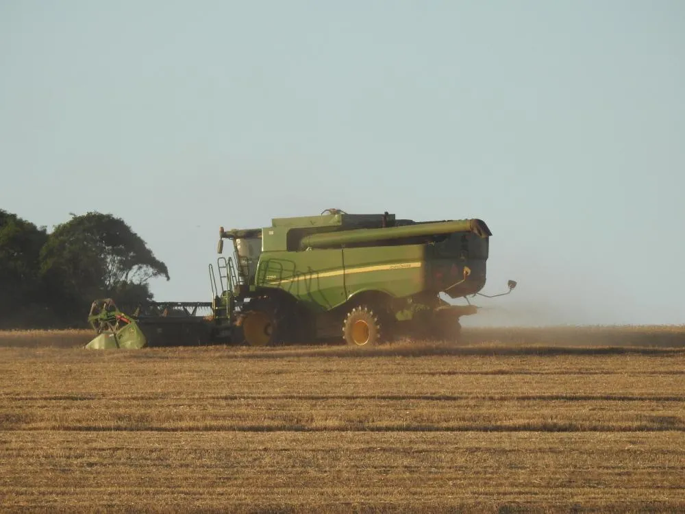 Brasil colherá 354,8 milhões de toneladas de grãos na safra 2025/2026, segundo estimativa da CONAB (Foto: Diones Roberto Becker)