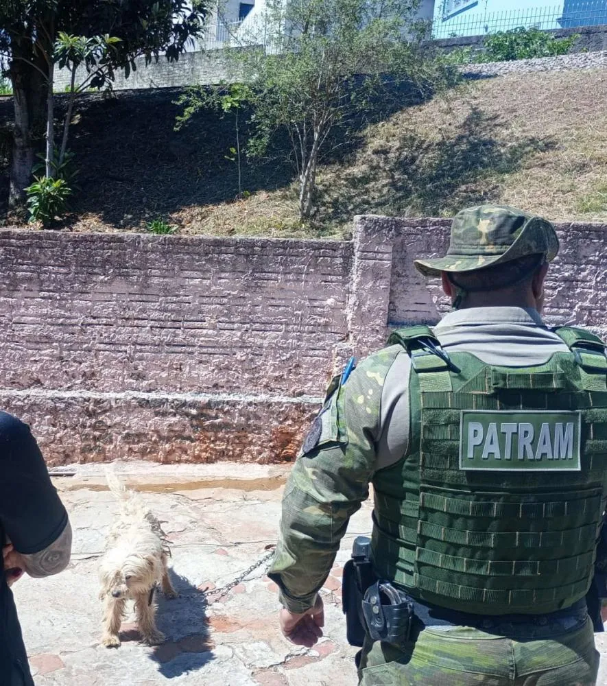 (Foto: Imagens: 3º BABM | Cruz Alta)